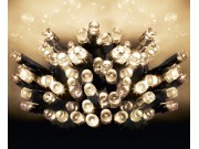Premier 50 Multi-Action Battery Operated LED Time Lights - WARM WHITE